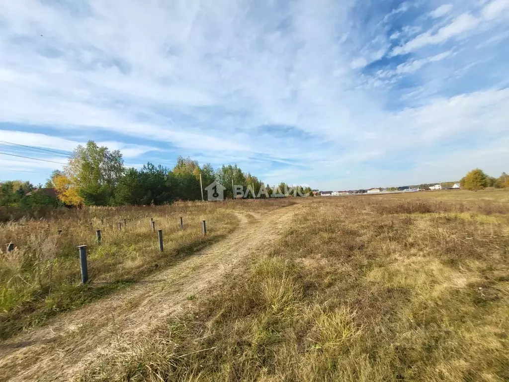 Участок в Московская область, Раменский городской округ, д. ... - Фото 1