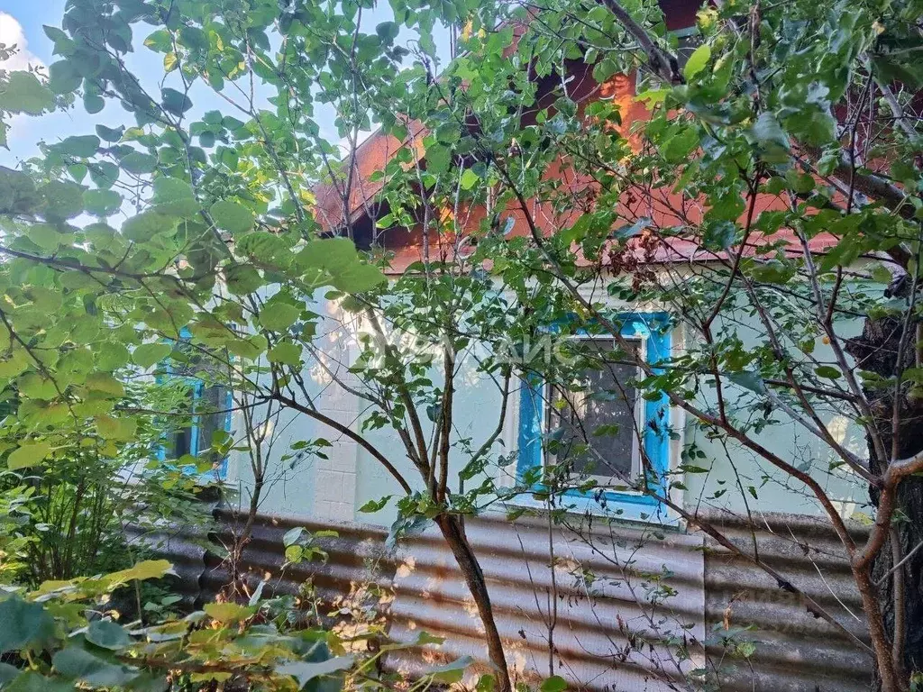 Дом в Белгородская область, Яковлевский муниципальный округ, с. Шопино ... - Фото 1