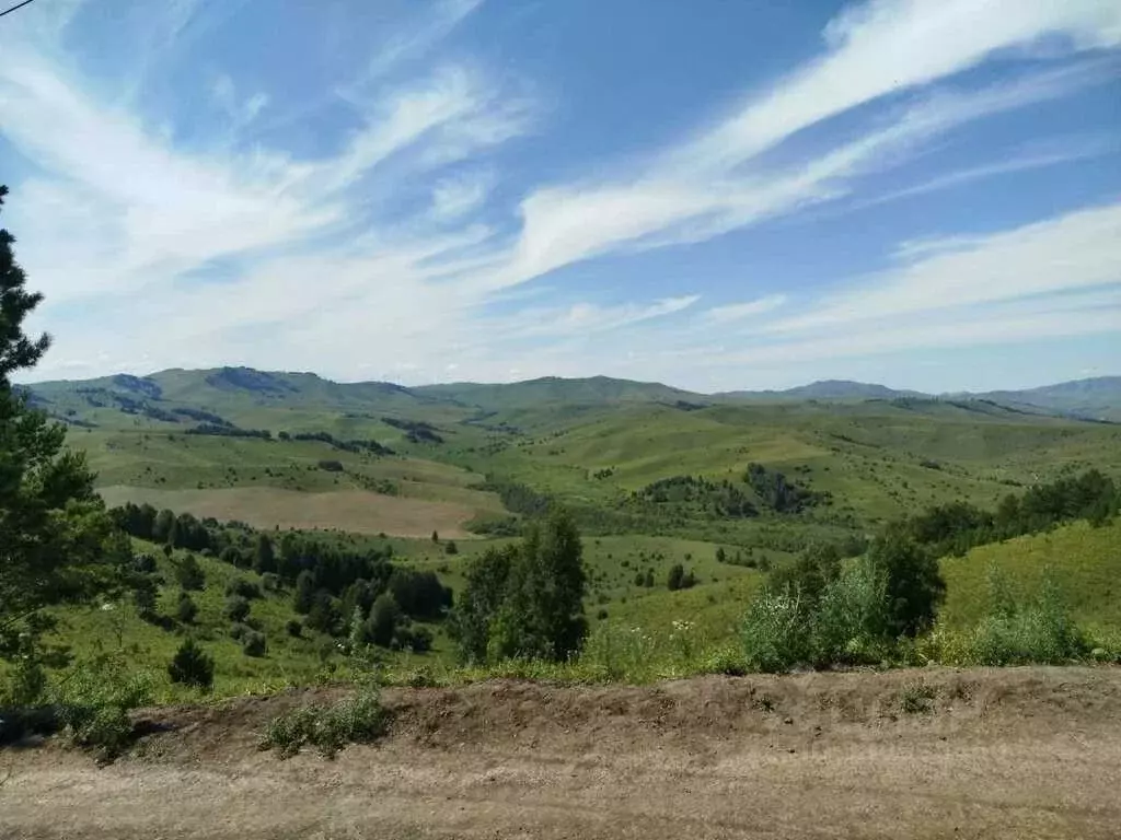 Участок в Алтайский край, Алтайский район, Айский сельсовет  (6.0 га.) - Фото 2