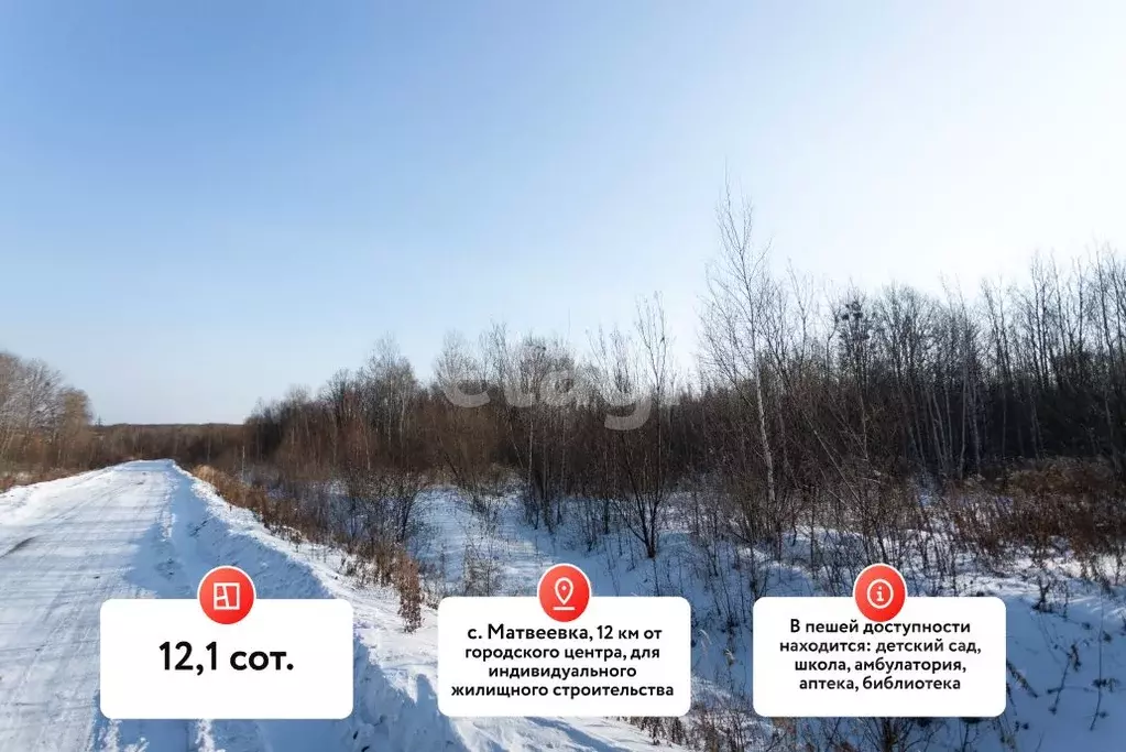 Участок в Хабаровский край, Хабаровский район, Тополевское с/пос, с. ... - Фото 2