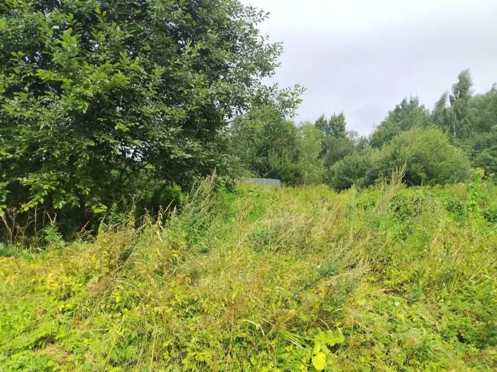 Участок в Московская область, Орехово-Зуевский городской округ, д. ... - Фото 1