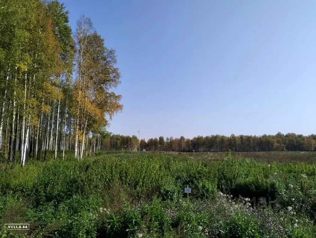 Участок в Свердловская область, Сысертский городской округ, пос. ... - Фото 0