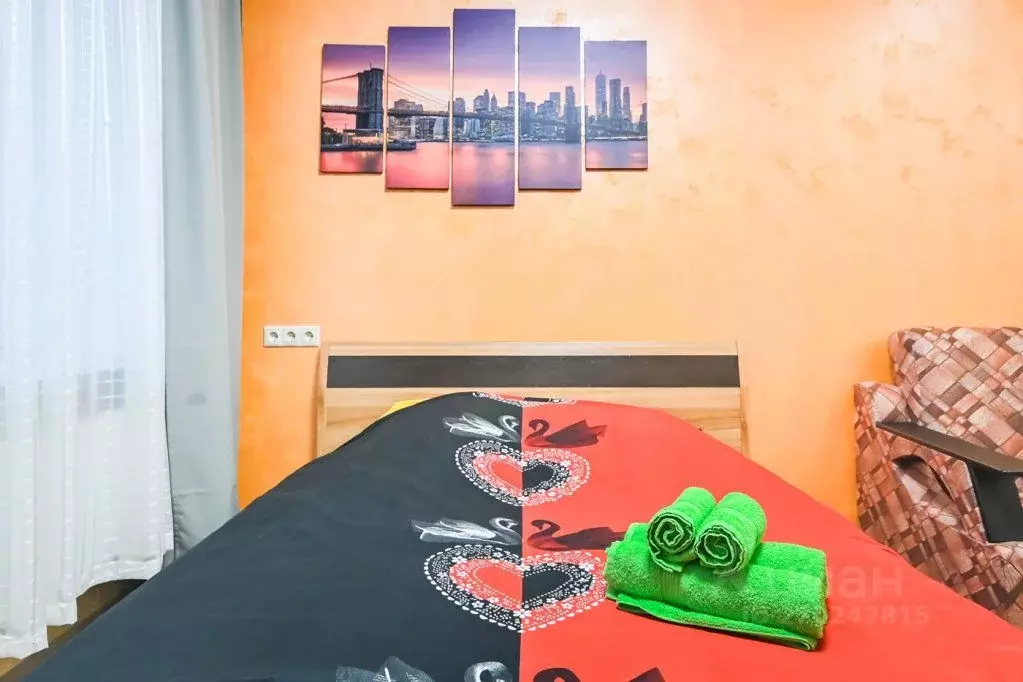 1-к кв. Московская область, Ногинск Богородский городской округ, ул. ... - Фото 2