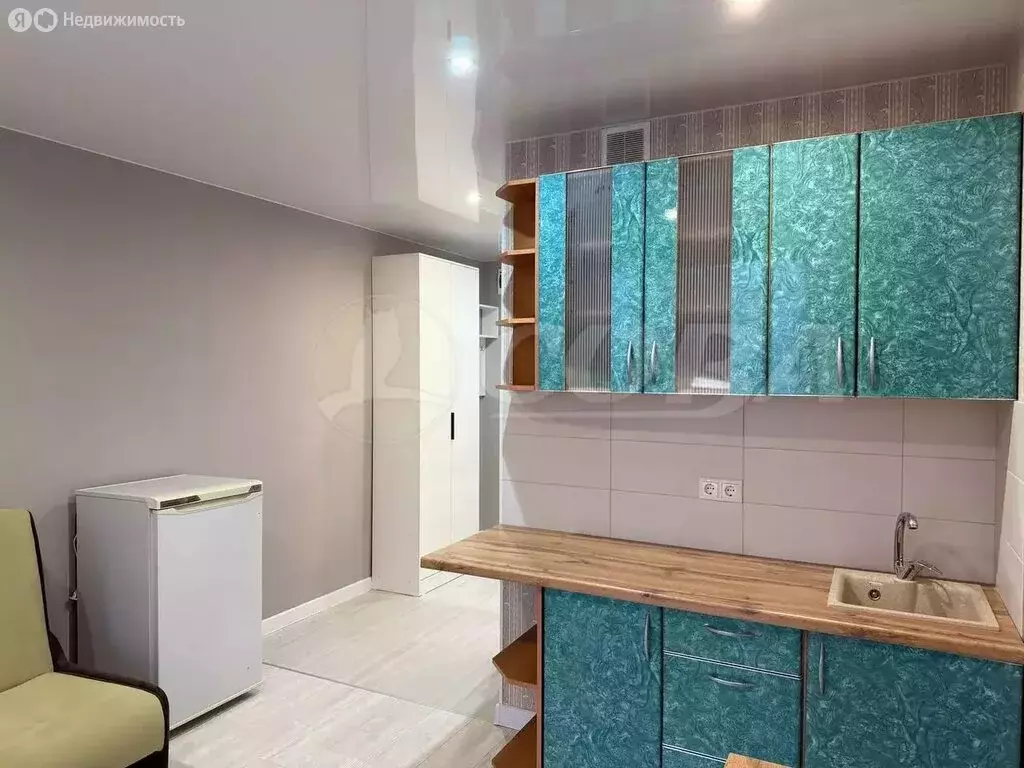 Квартира-студия: Патрушева, улица Александра Пушкина, 16 (23.6 м) - Фото 2