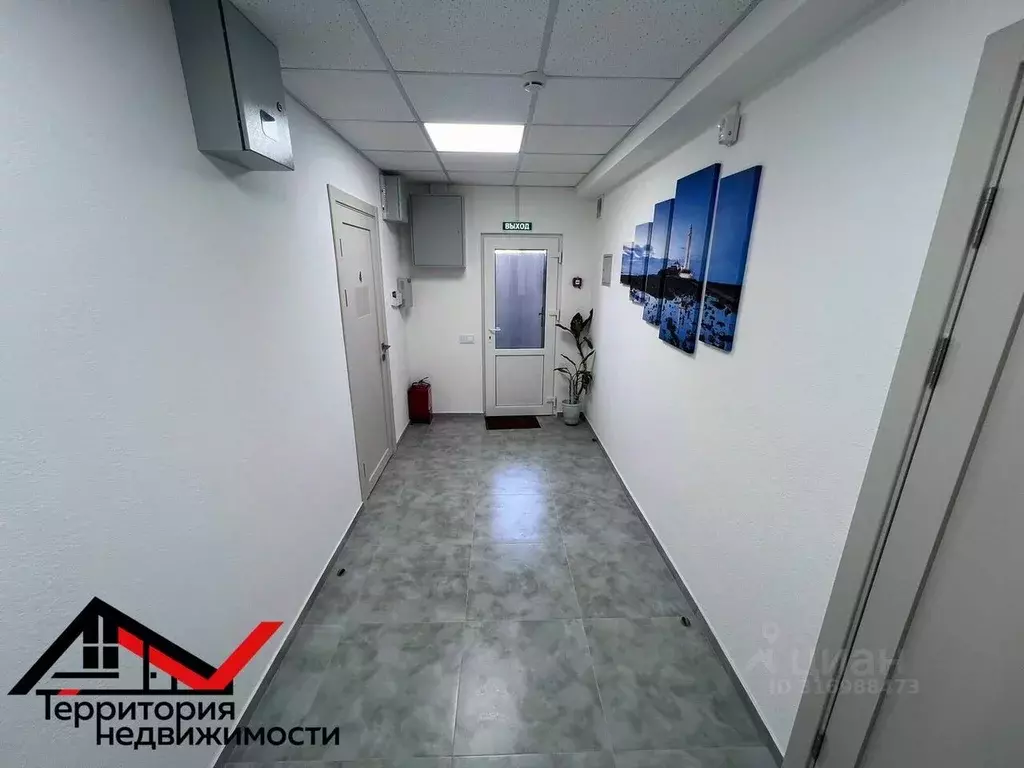 Помещение свободного назначения в Севастополь ул. Тараса Шевченко, 12 ... - Фото 1
