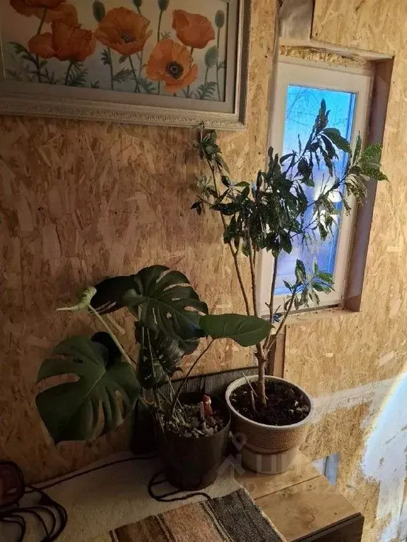 Дом в Свердловская область, Екатеринбург Высотка СНТ, 2 (50 м) - Фото 2