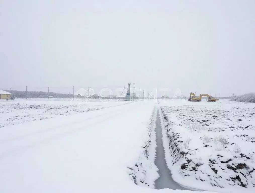 Участок в Тюменская область, Тюменский муниципальный округ, д. Елань ... - Фото 1