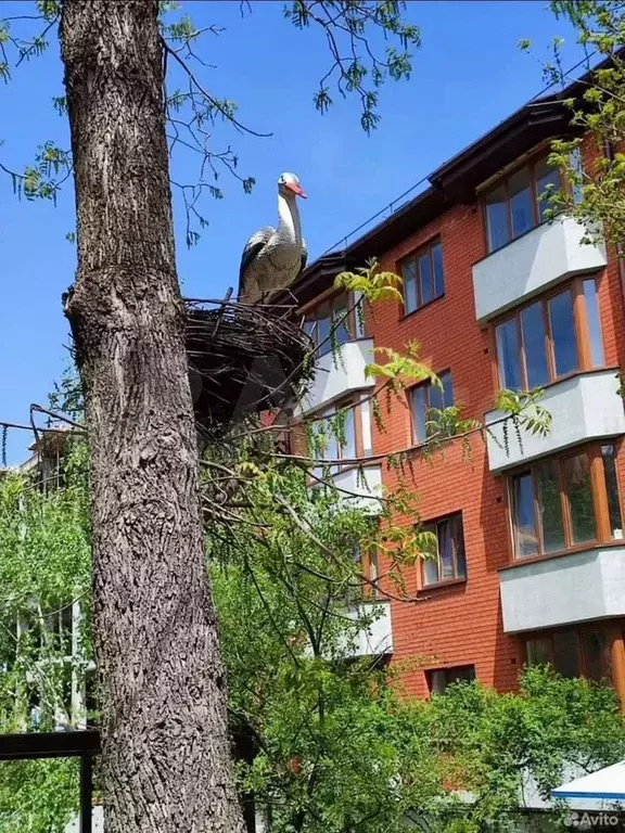 1-к. квартира, 46 м, 3/5 эт. - Фото 0
