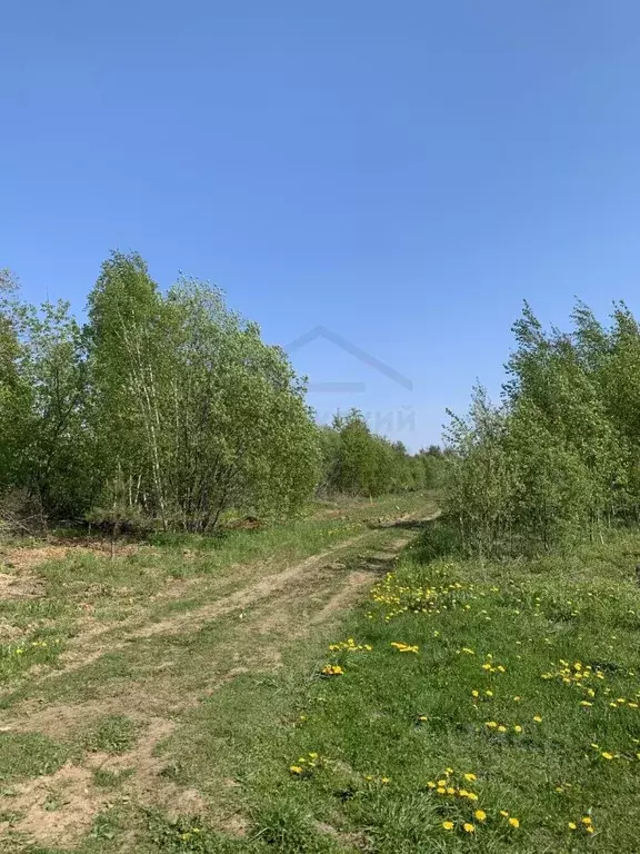 Участок в Калужская область, Калуга городской округ, с. Некрасово  ... - Фото 1