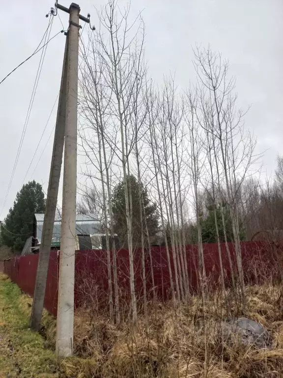 Участок в Костромская область, Костромской район, Бакшеевское с/пос, ... - Фото 2