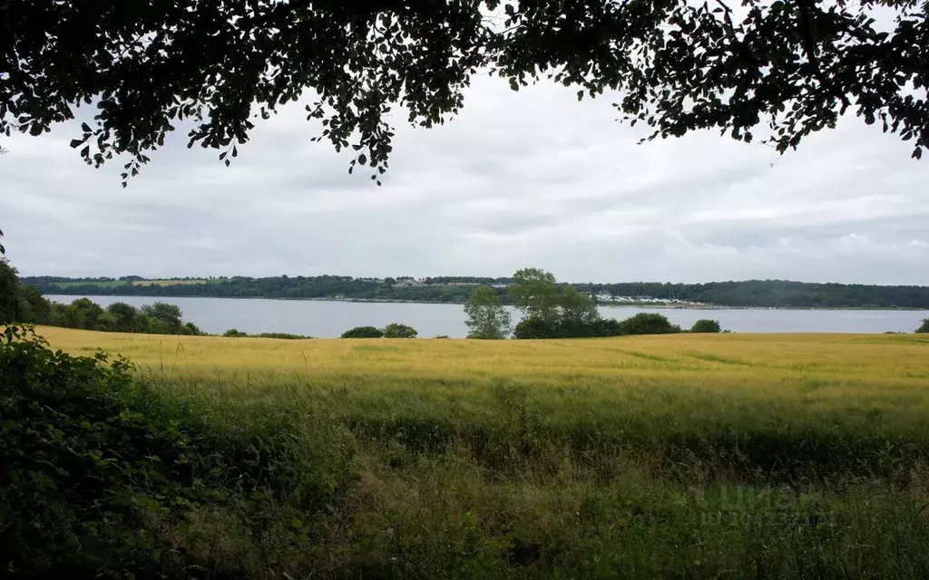 Участок в Новгородская область, Новгородский район, Бронницкое с/пос, ... - Фото 0