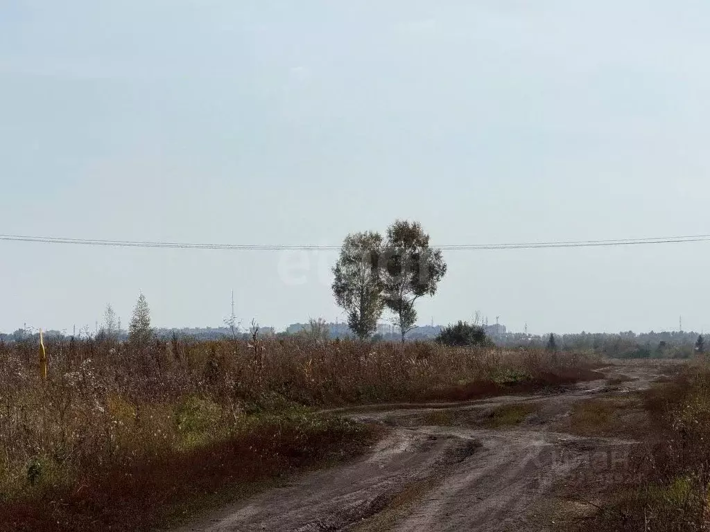 Участок в Тамбовская область, Тамбовский муниципальный округ, с. ... - Фото 0