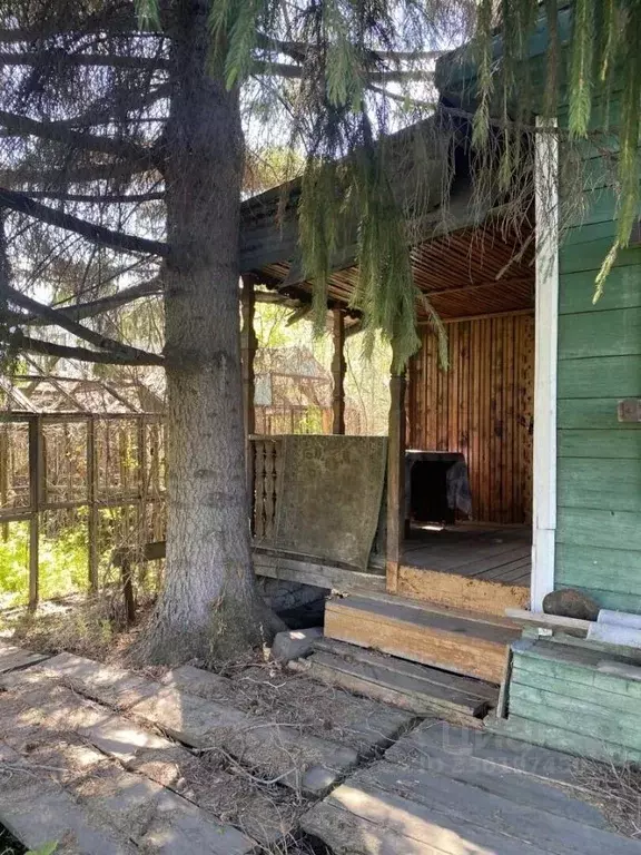 Дом в Алтайский край, Барнаул тракт Змеиногорский, 91 (56 м) - Фото 1