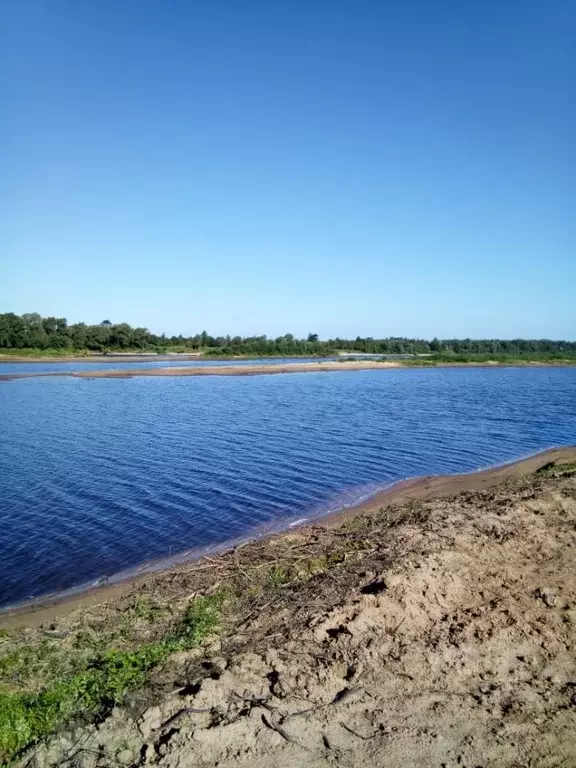 Участок в Новгородская область, Новгородский район, Бронницкое с/пос, ... - Фото 0