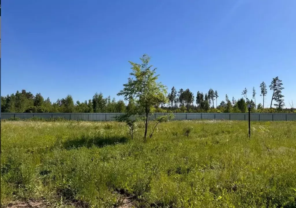 Участок в Самарская область, Красноярский район, Светлое Поле с/пос, ... - Фото 1