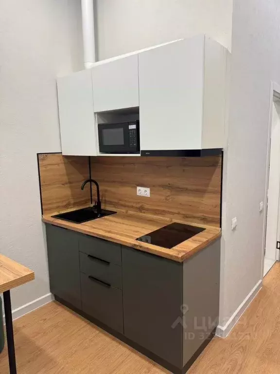 Студия Краснодарский край, Геленджик Туристическая ул., 4Гк2А (20.7 м) - Фото 1