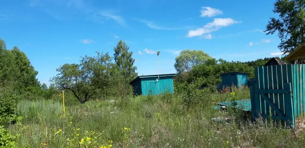 Участок в Рязанская область, Клепиковский район, Оськинское с/пос, д. ... - Фото 1