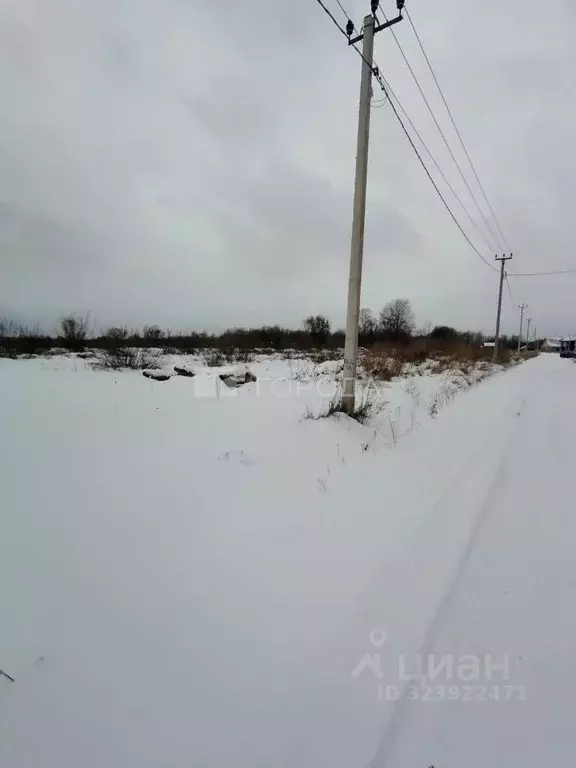 Участок в Алтайский край, Первомайский район, с. Фирсово ул. Акимова ... - Фото 2