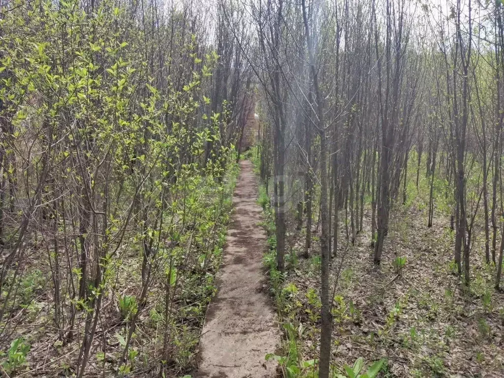 Участок в Красноярский край, Красноярск Южное СНТ, 10 (6.0 сот.) - Фото 2