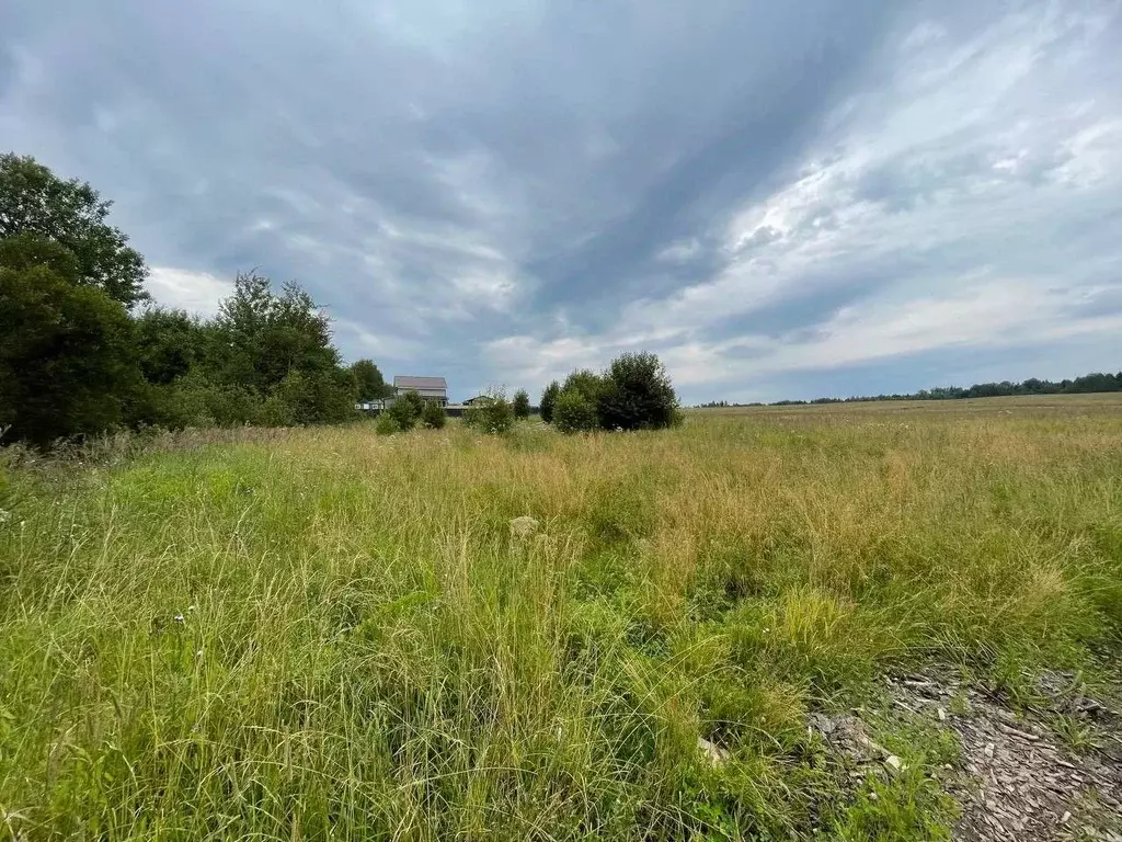 Участок в Московская область, Сергиево-Посадский городской округ, д. ... - Фото 1
