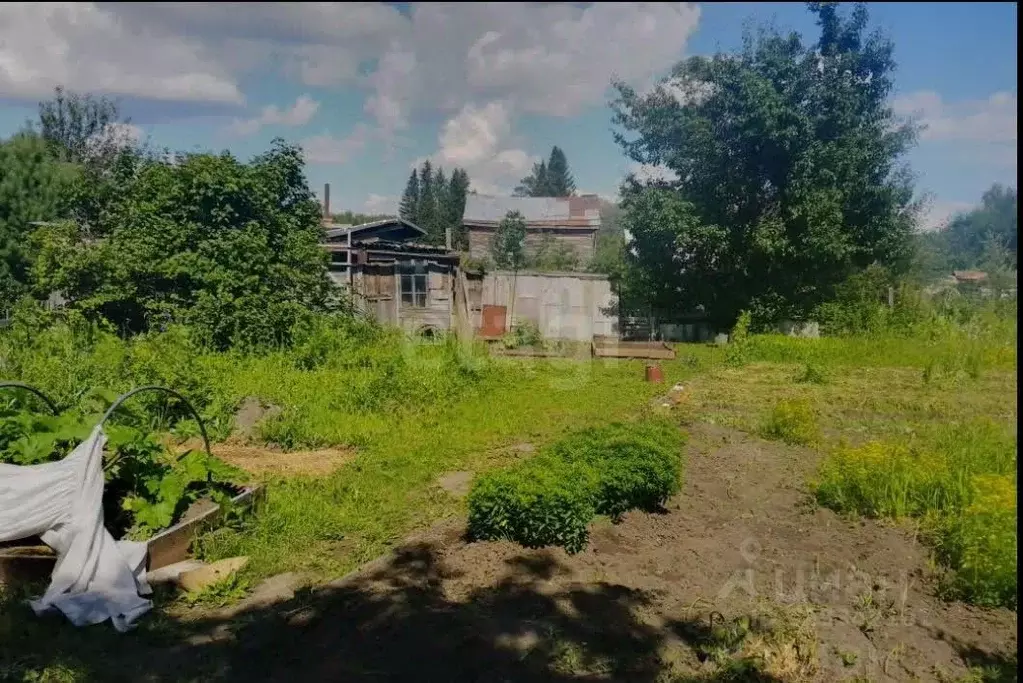 Участок в Новосибирская область, Новосибирск Садоводческого ... - Фото 1