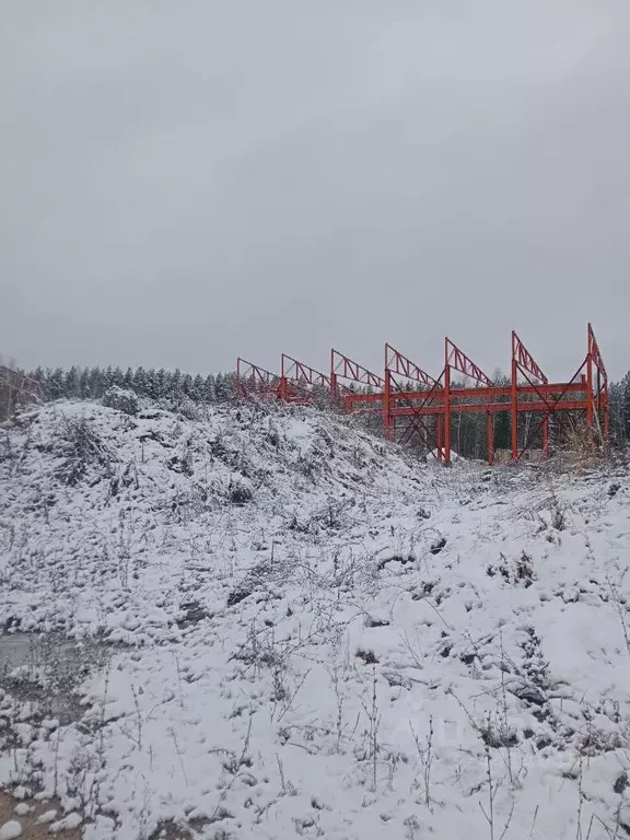 Производственное помещение в Нижегородская область, Богородск ш. ... - Фото 2