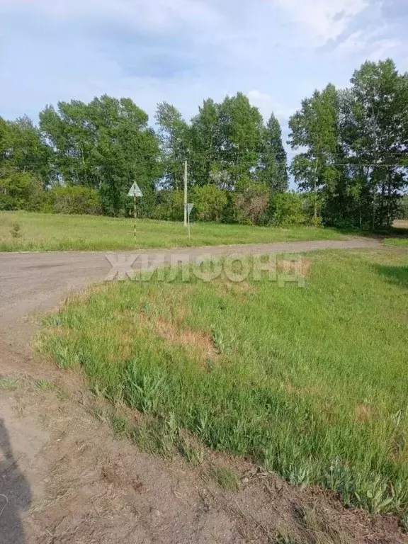 Участок в Новосибирская область, Ордынский район, с. Вагайцево  (100.0 ... - Фото 2