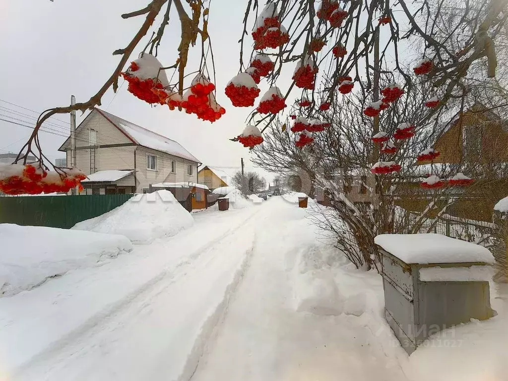 Дом в Новосибирская область, Бердск ул. Лермонтова (47 м) - Фото 2