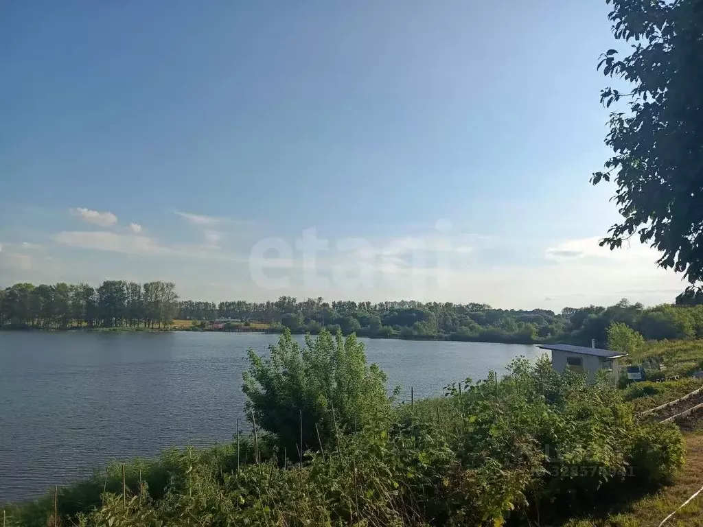 Участок в Тульская область, Щекинский район, Лазаревское с/пос, д. ... - Фото 1