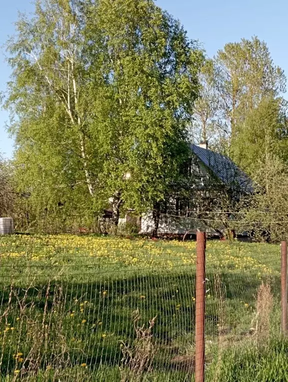 Участок в Ленинградская область, Мурино Всеволожский район, Садовая ... - Фото 1