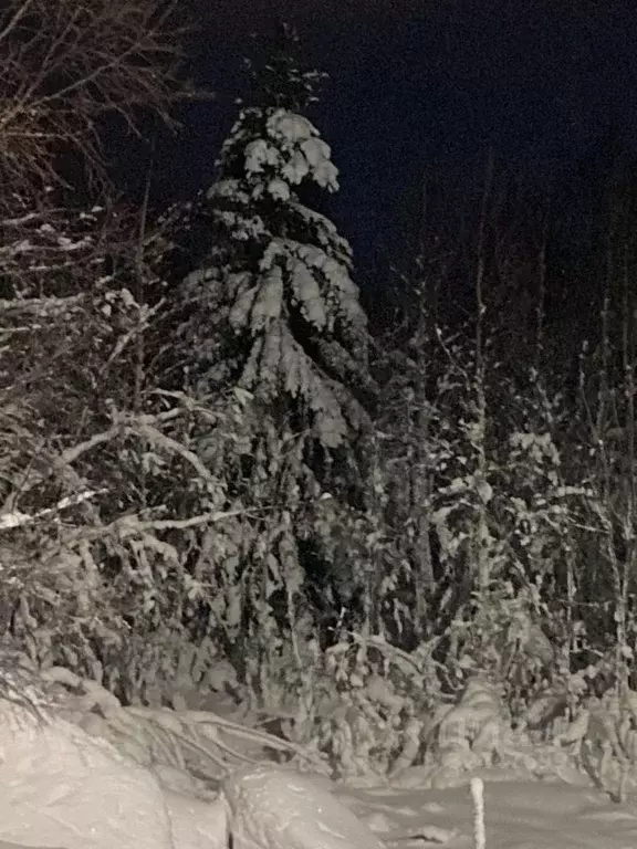 Участок в Мурманская область, Кольский район, Город Кола городское ... - Фото 1