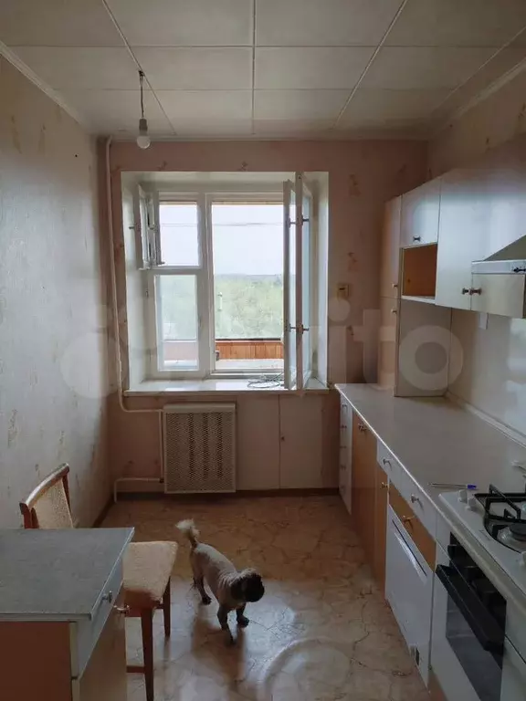 2-к. квартира, 65,7 м, 9/9 эт. - Фото 1