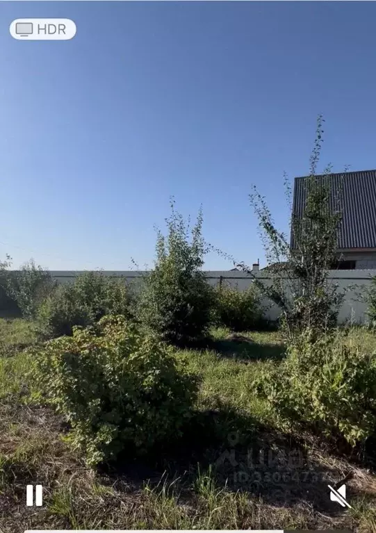 Участок в Татарстан, Лаишевский район, Никольское с/пос, д. Пиголи  ... - Фото 2