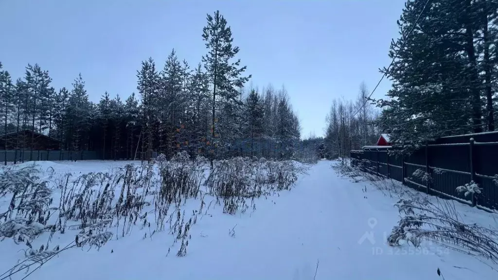Участок в Нижегородская область, Городецкий муниципальный округ, д. ... - Фото 2