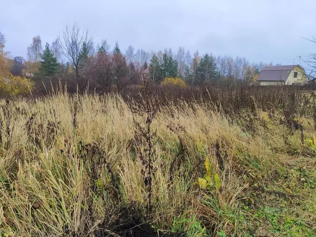Участок в Московская область, Раменский муниципальный округ, д. ... - Фото 2