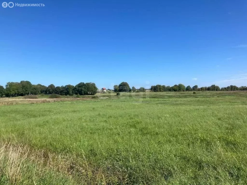 Участок в Калининградская область, Зеленоградский муниципальный округ, ... - Фото 2