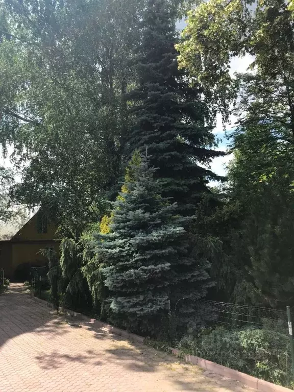 Дом в Московская область, Люберцы городской округ, Красково пгт ул. ... - Фото 1