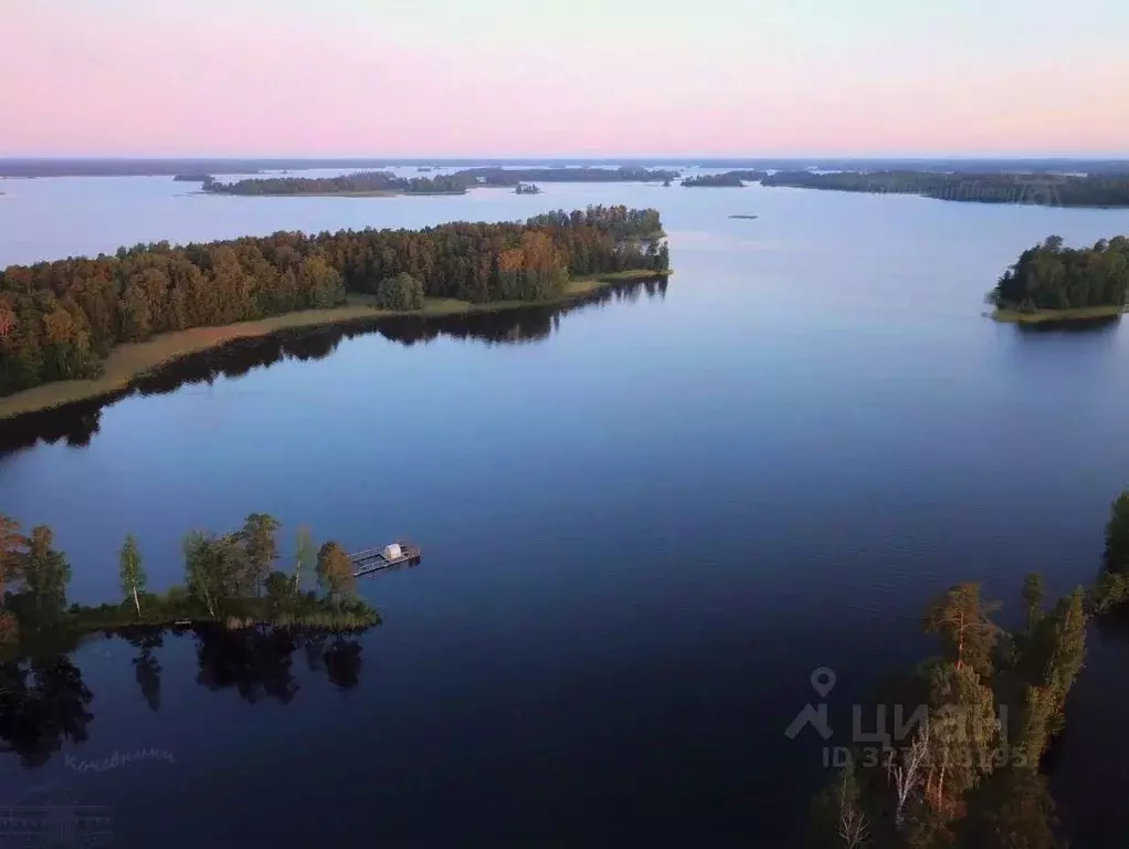 Участок в Ленинградская область, Выборгский район, Гончаровское с/пос  ... - Фото 1