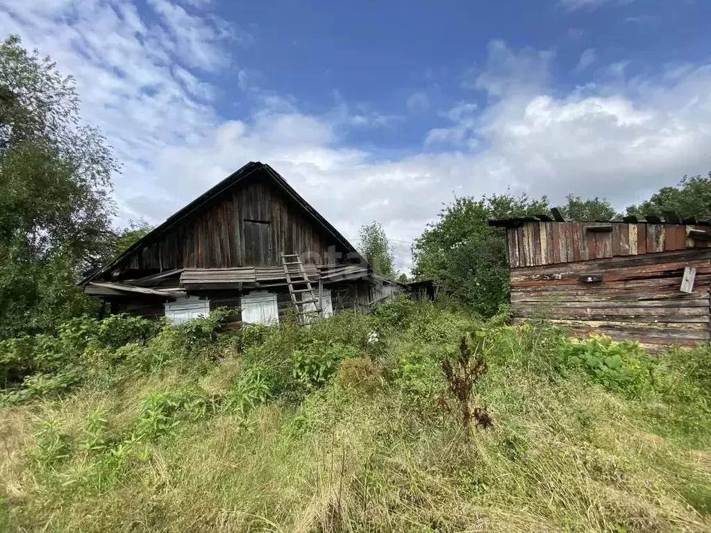 Участок в Амурская область, Свободный ул. Маяковского (17.2 сот.) - Фото 1