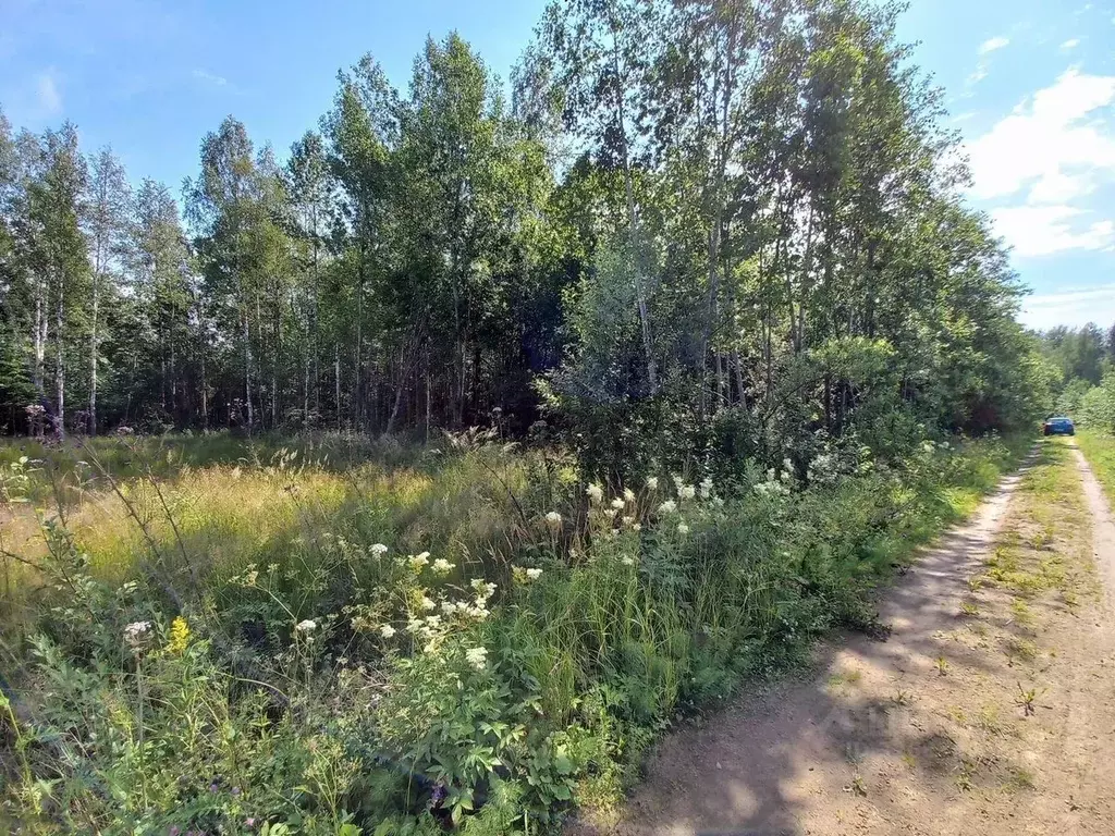 Участок в Ленинградская область, Кировский район, Мгинское городское ... - Фото 2