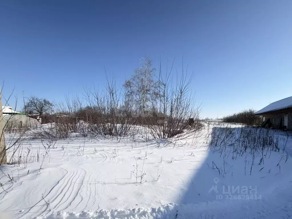 Участок в Белгородская область, Корочанский район, Погореловское ... - Фото 1