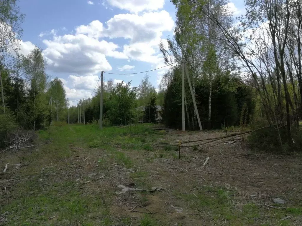 Участок в Московская область, Одинцовский городской округ, д. ... - Фото 0