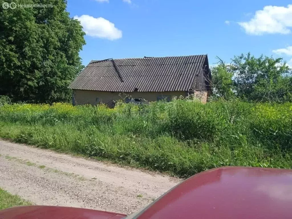 Участок в Хотынецкий район, село Красные Рябинки (30 м) - Фото 1