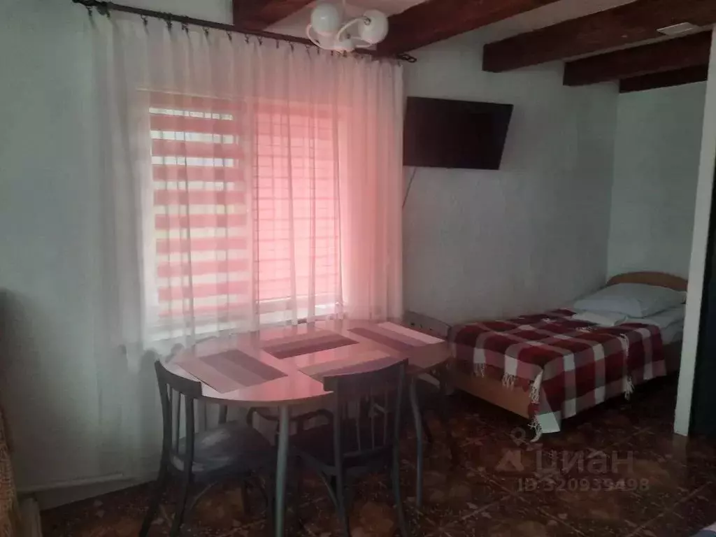 Дом в Алтайский край, Белокуриха ул. Жемчужная, 1 (30 м) - Фото 2