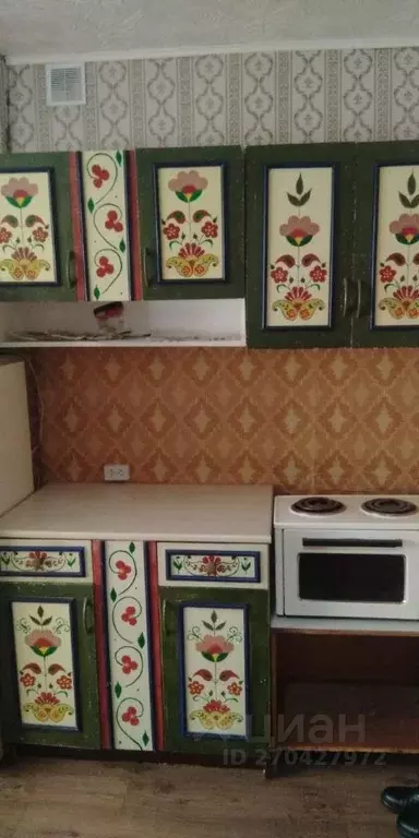 1-к кв. Алтайский край, Барнаул ул. Юрина, 257/13 (20.0 м) - Фото 1