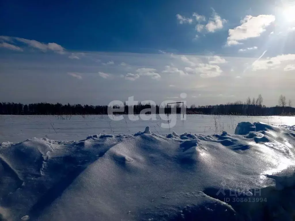 Участок в Костромская область, Нерехта ул. Тургенева, 31 (860.0 сот.) - Фото 0