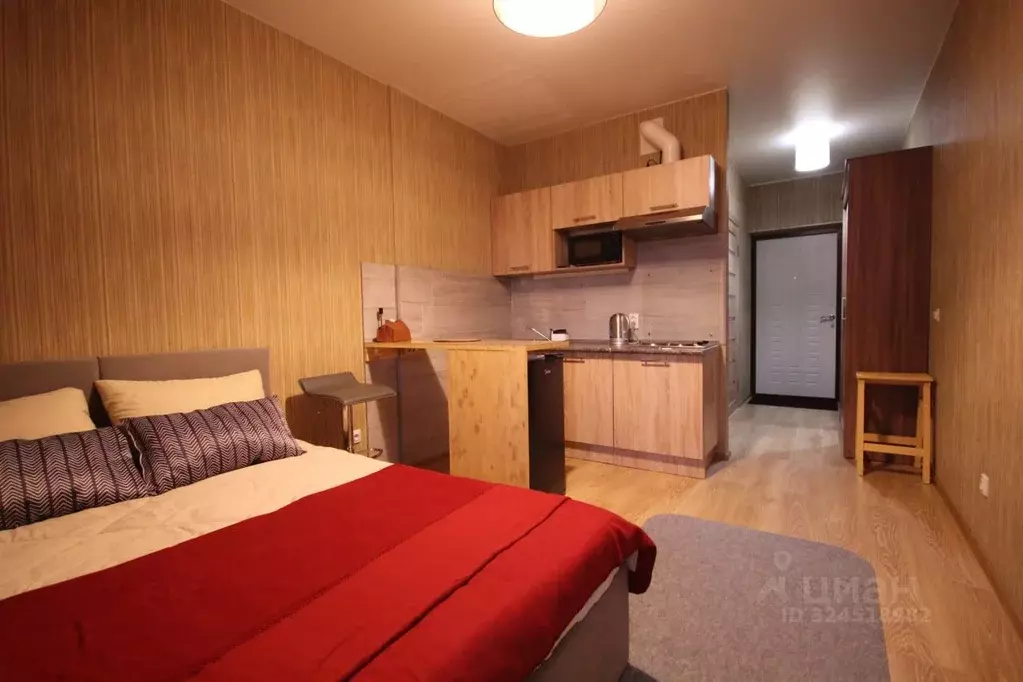 Студия Нижегородская область, Нижний Новгород д. Афонино, ул. Красная ... - Фото 1