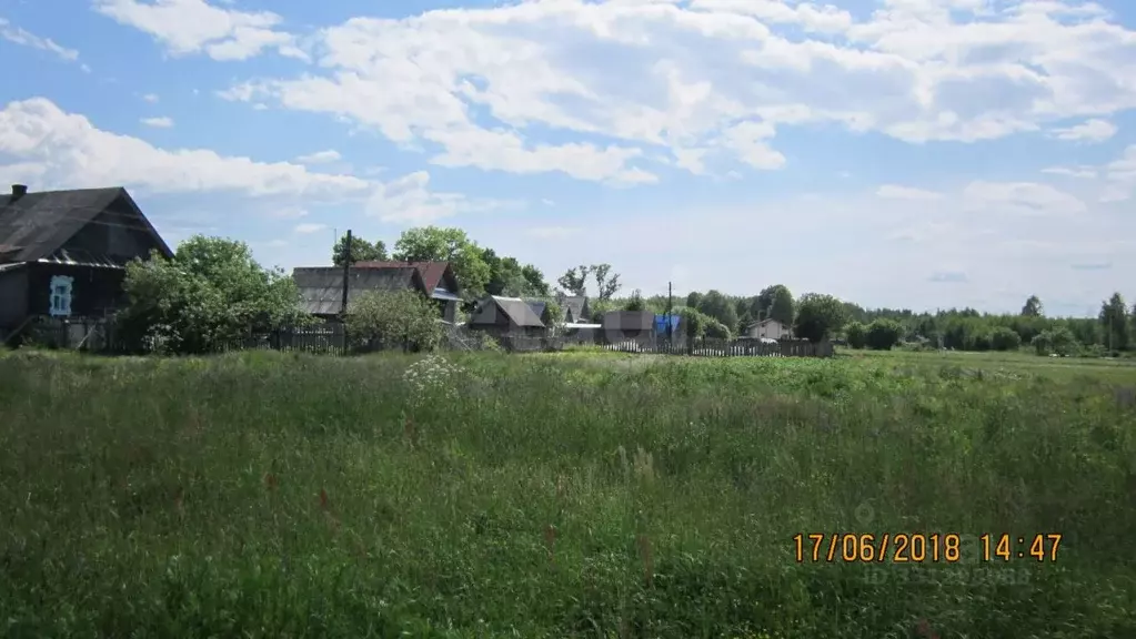 Участок в Нижегородская область, Городецкий муниципальный округ, ... - Фото 1