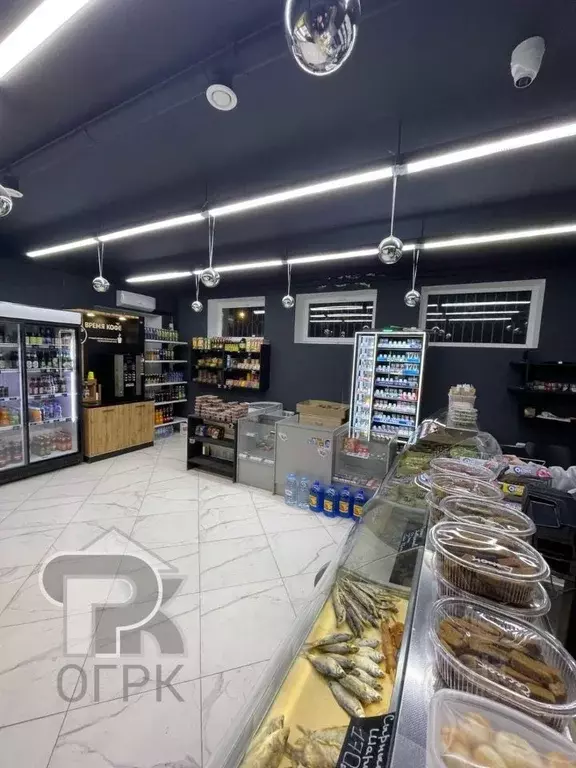 Помещение свободного назначения в Московская область, Домодедово ... - Фото 2