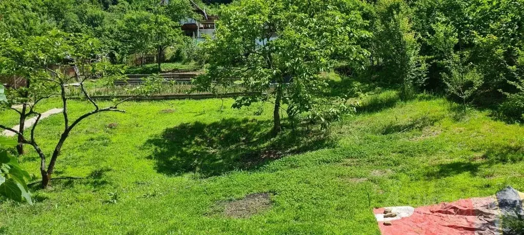 Участок в Краснодарский край, Сочи городской округ, с. Верхний Юрт, ... - Фото 1